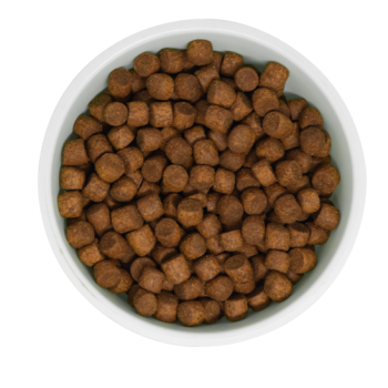 Kibble NDPA
