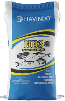 Sak HB3