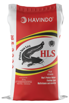 Sak HLS